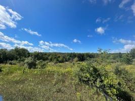 Lot 14 Dungannon Lane