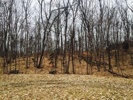 00 Wandering Woods Court