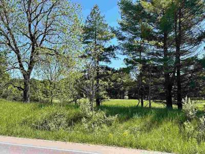 Lot 7 Schoolcraft Road Lot 7