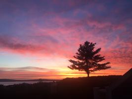 4015 Cedar Bluff Drive Unit 4
