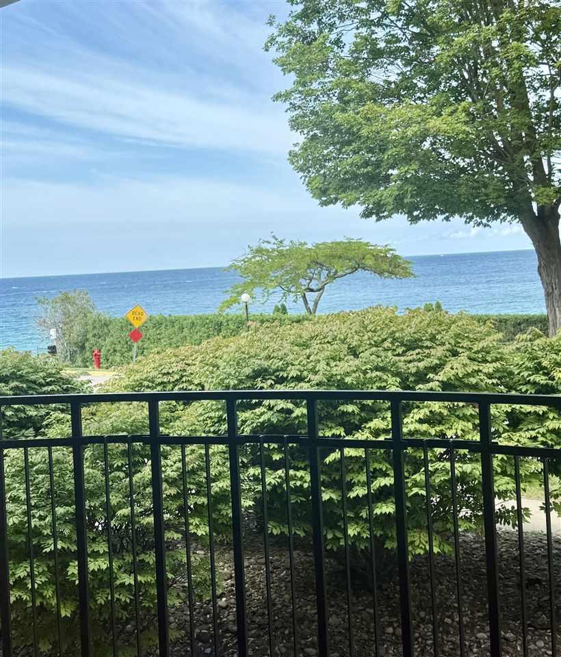 Image 4: View of Lake Michigan from the patio.