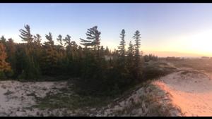 3653 Sturgeon Bay Shores Trail Lot 19