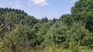 TBD Dublin Ln Lot Parcel 105