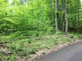 Lot #11 Bear Cove Lane Lot #11