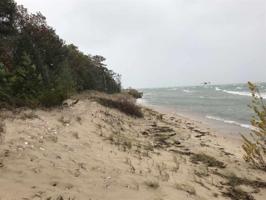TBD Winters Trail