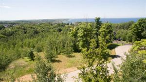 3341 Vineyard Court