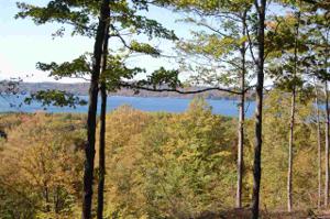 00000 Connemara Lot 10