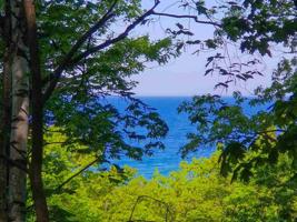 380* S Lake Shore Drive
