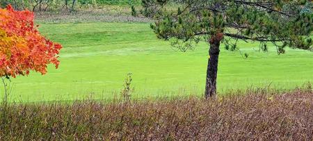 00 Golf Meadows Drive Lot Unit 36