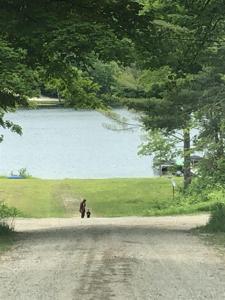 Lots 23,25,27 Muskie Way