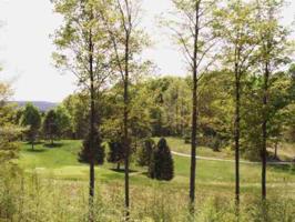 Lot # 16  Mountain Club