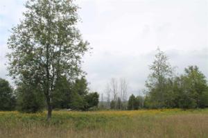 6 Amon Meadows Lot # 6