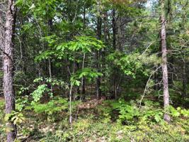 TBD Chippewa Trail Lot 64 & 65