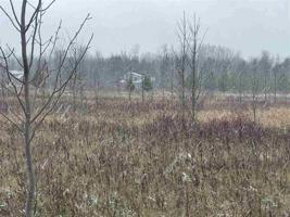 6718 Lora Bette Drive Lot 43