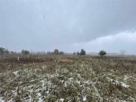 6580 Lora Bette Drive Lot 38