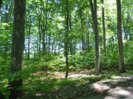Unit 32 Golf Meadows Drive Lot Unit 32