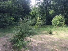 10431 Wheeling Road