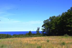 3336 Vineyard Court Lot - Lot 7