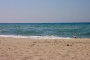 8808 Surfwood Drive, Lot 17