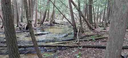7880 Lkae of the Woods Rd