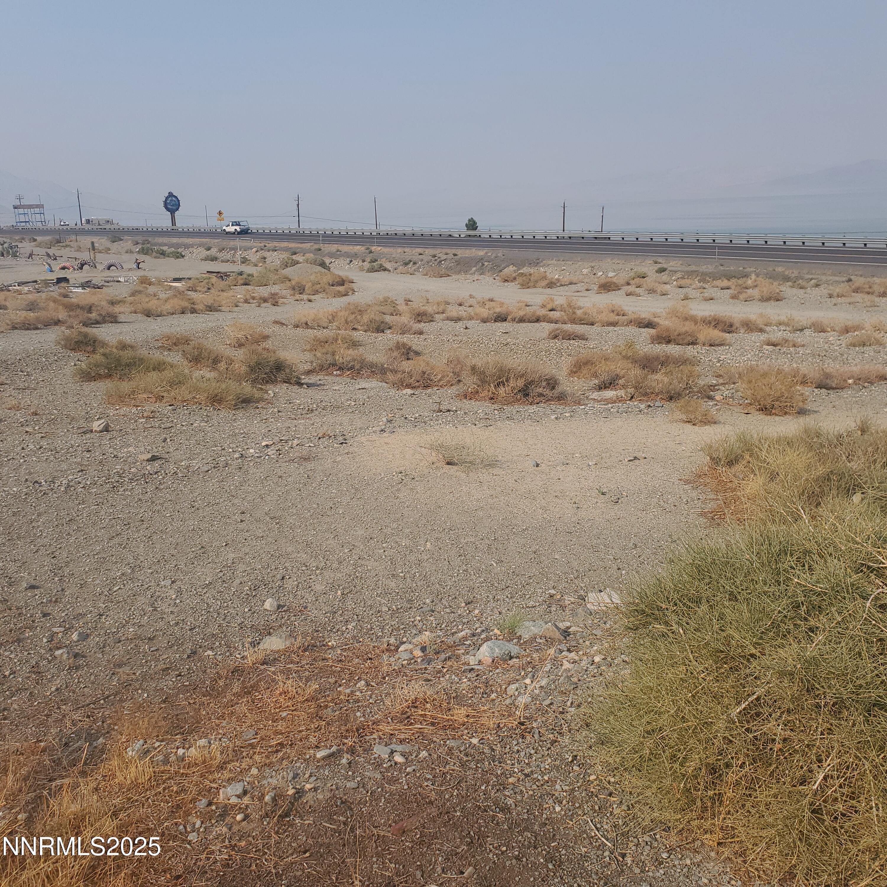 Image 2: 386 Golden willow 5