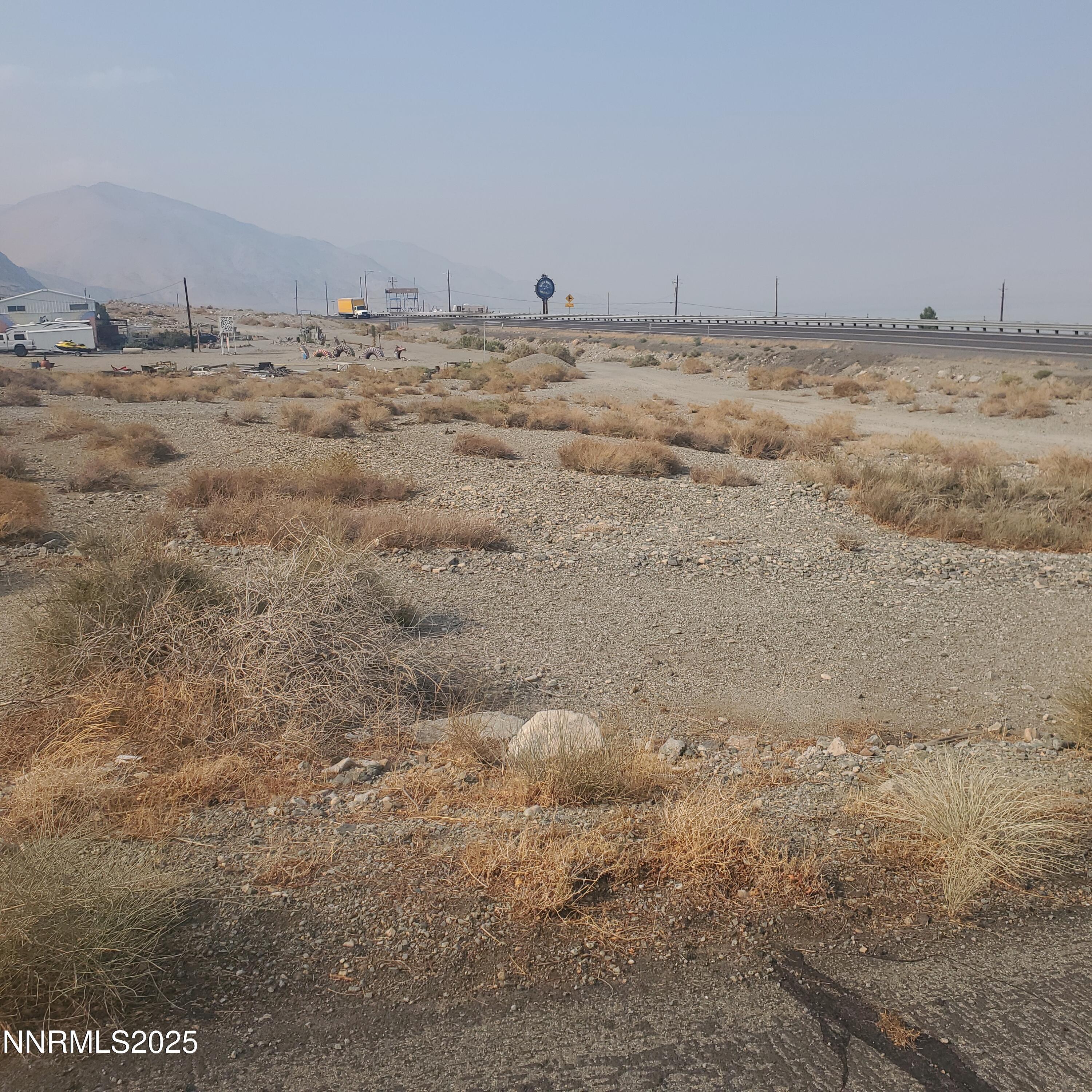 Image 3: 386 Golden willow 4