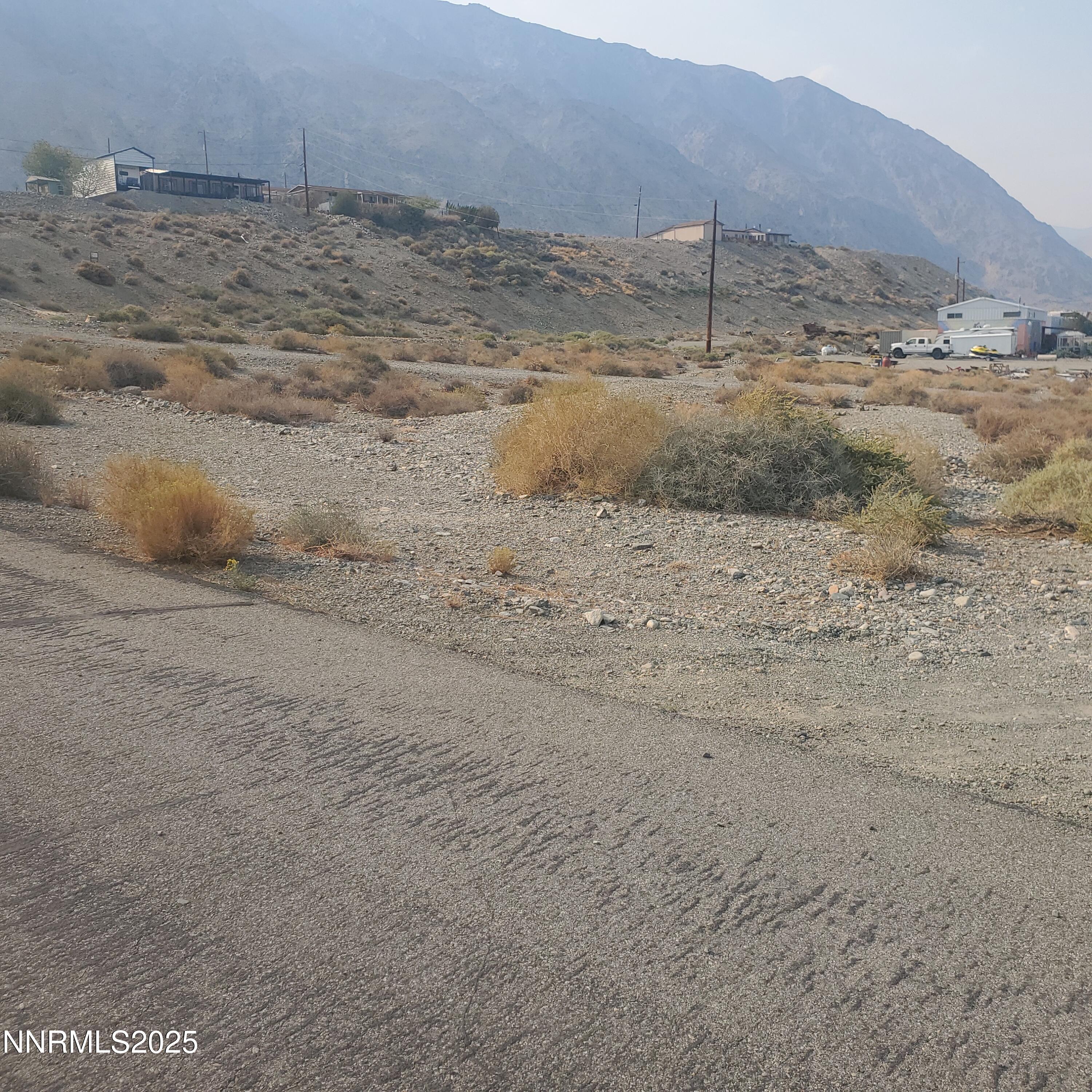 Image 4: 386 Golden willow 1