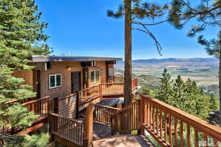 281 Quaking Aspen