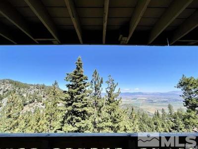261 Quaking Aspen