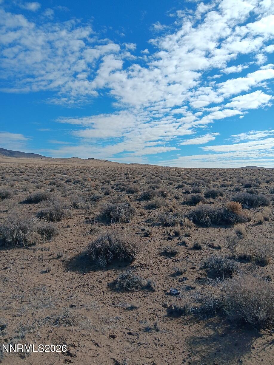 Image 3: 20260123_113908