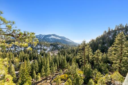 332 Barton Drive