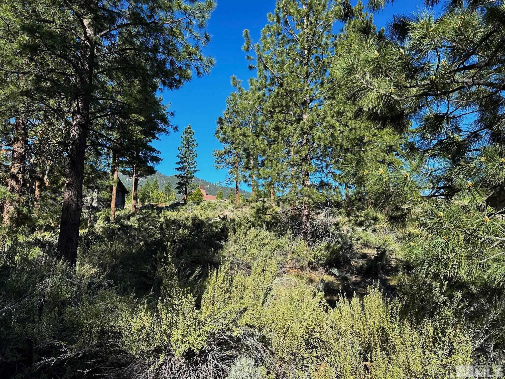 Image 3: Photo 3