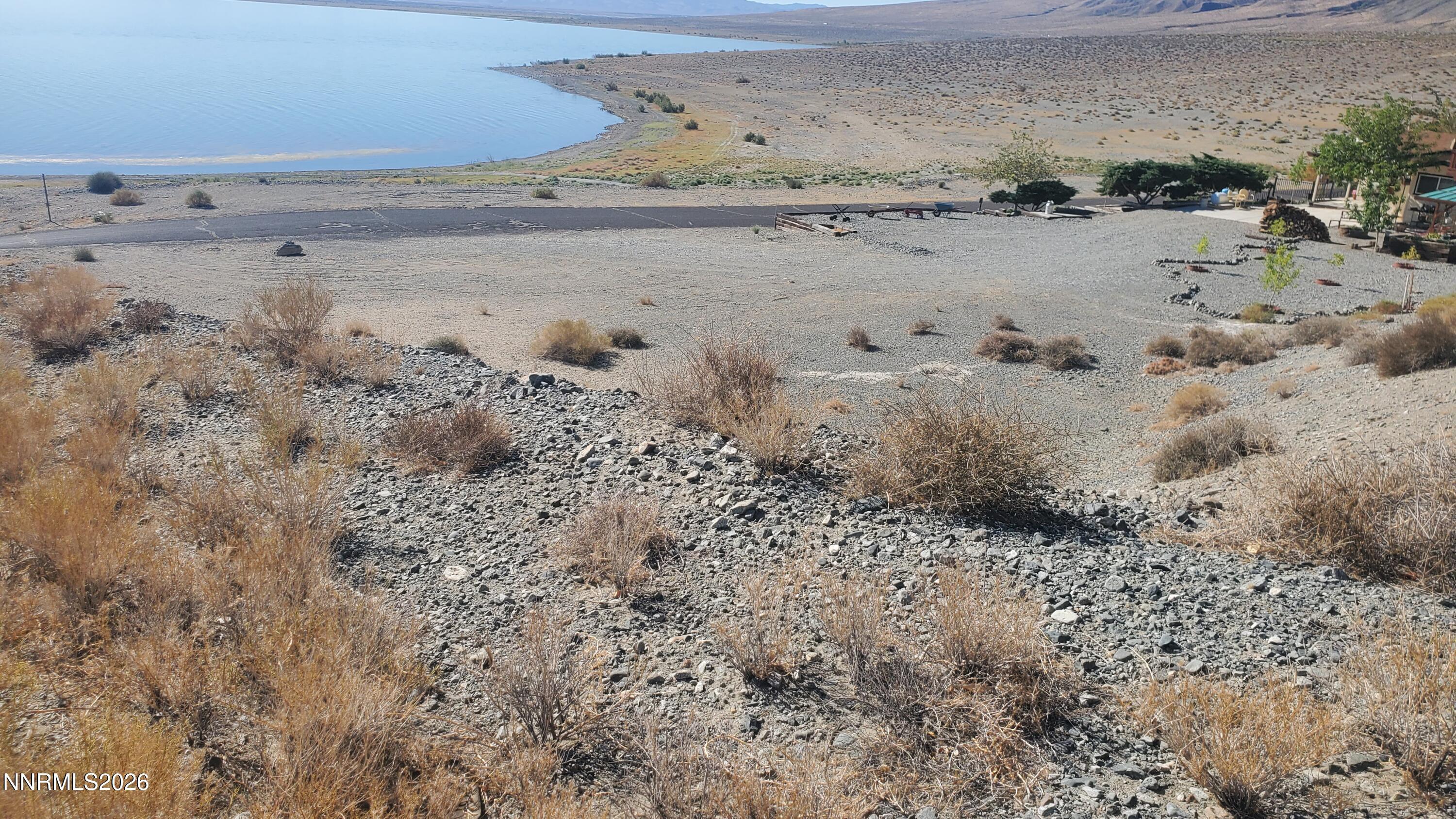 Image 3: 20250805_090701