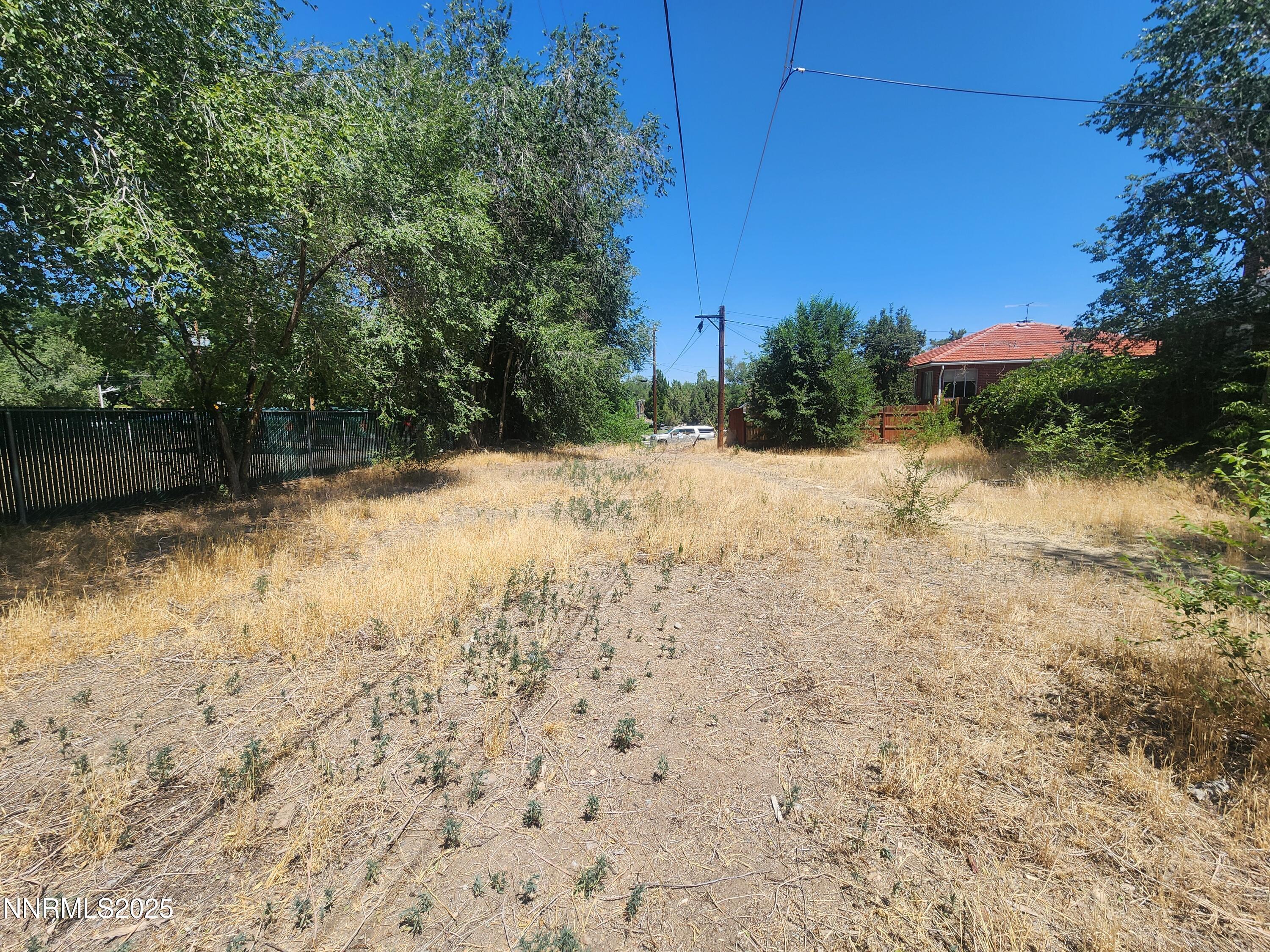 Image 4: 20250716_115251