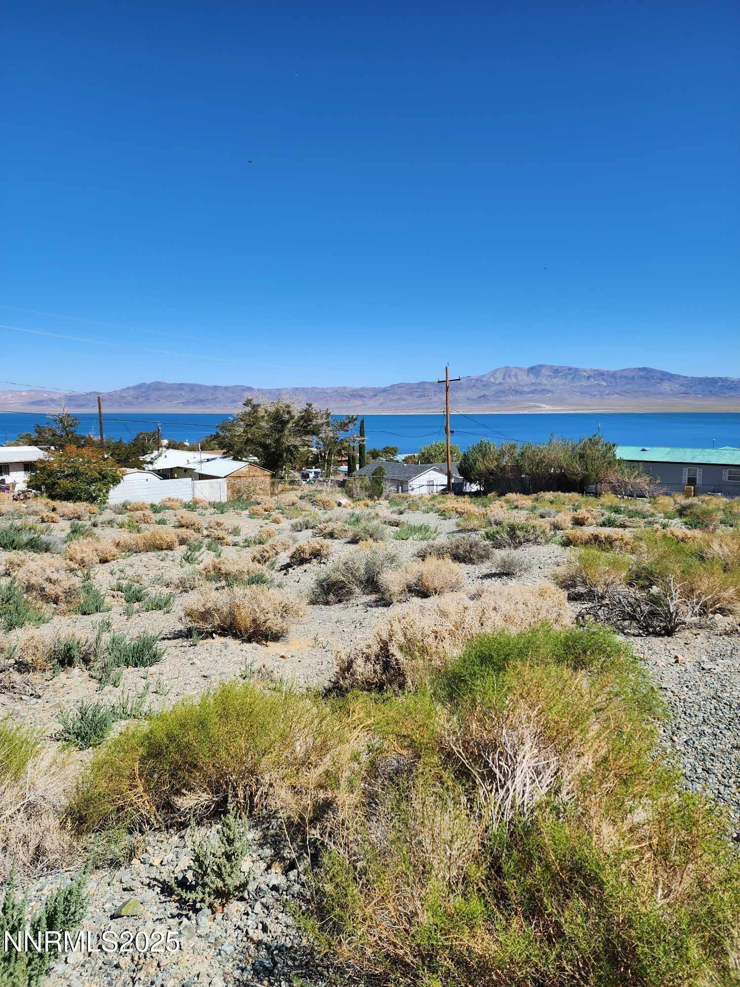 Image 2: 539 walker 2