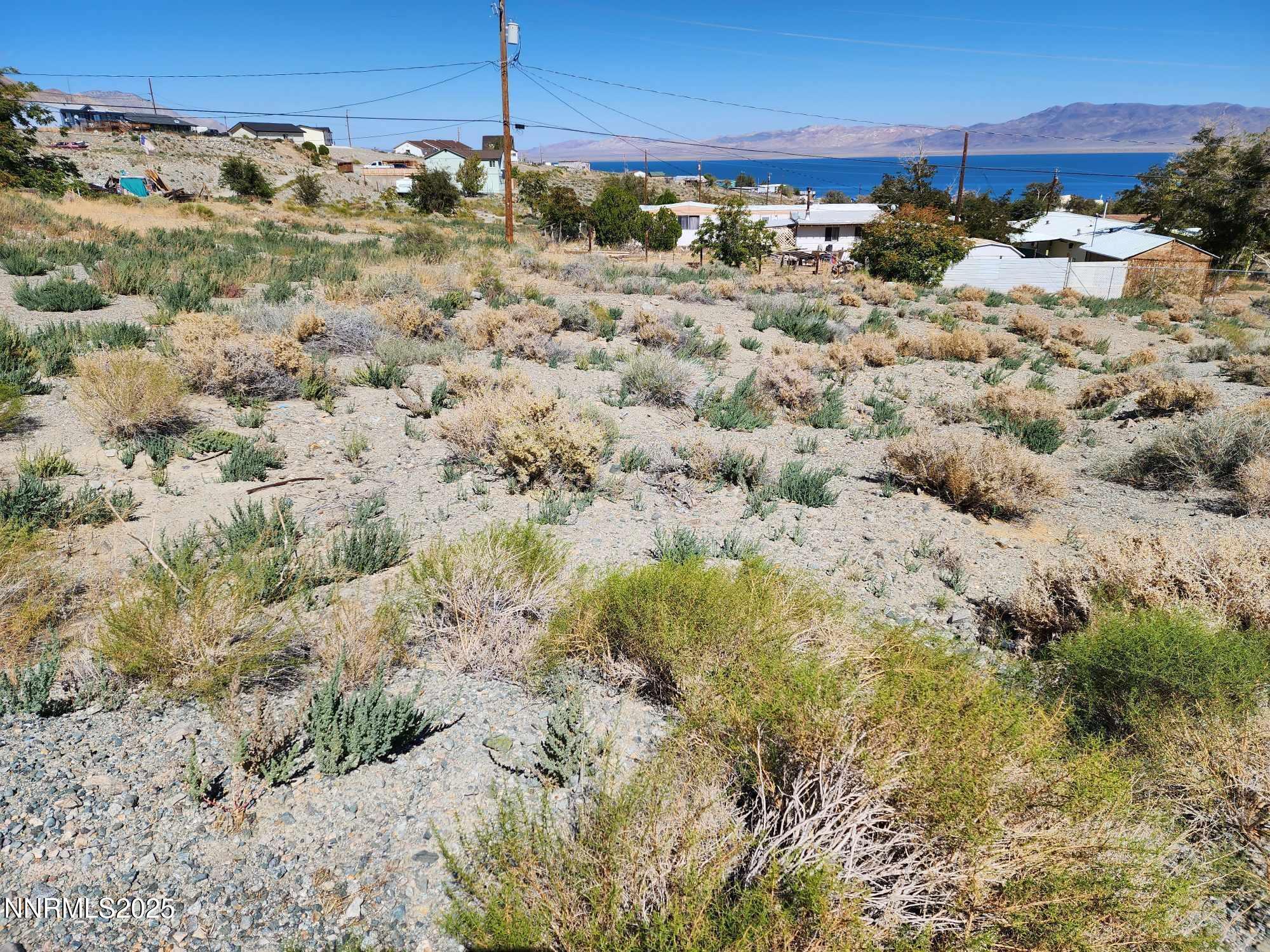 Image 3: 539 walker 3