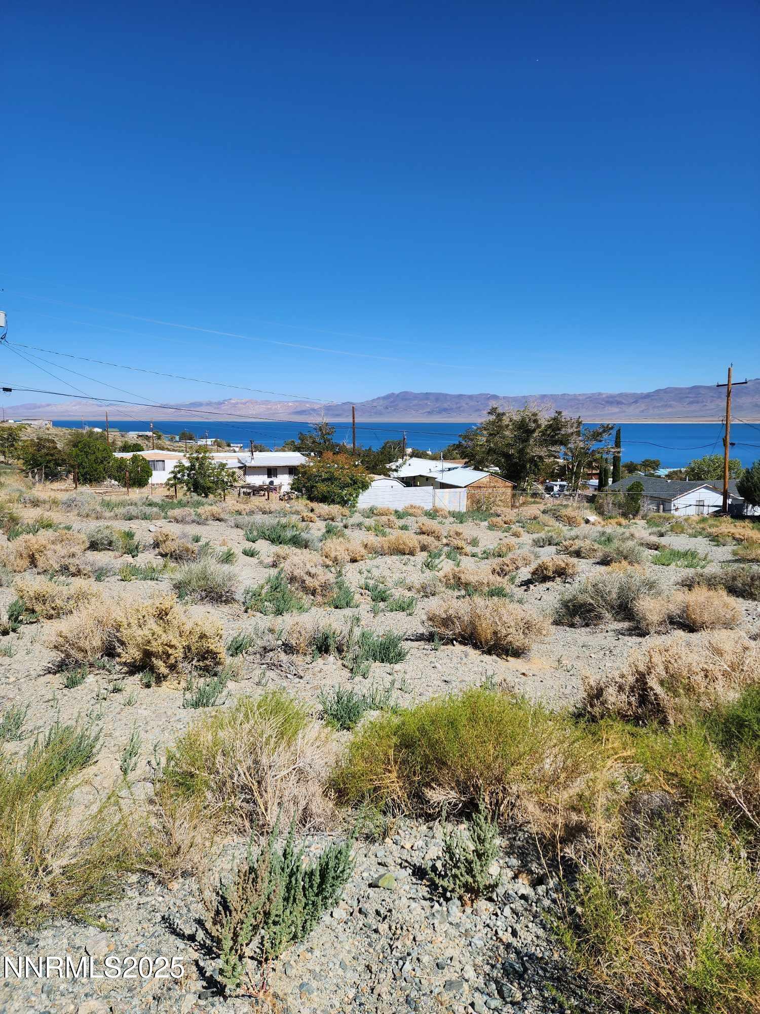 Image 4: 539 walker 4