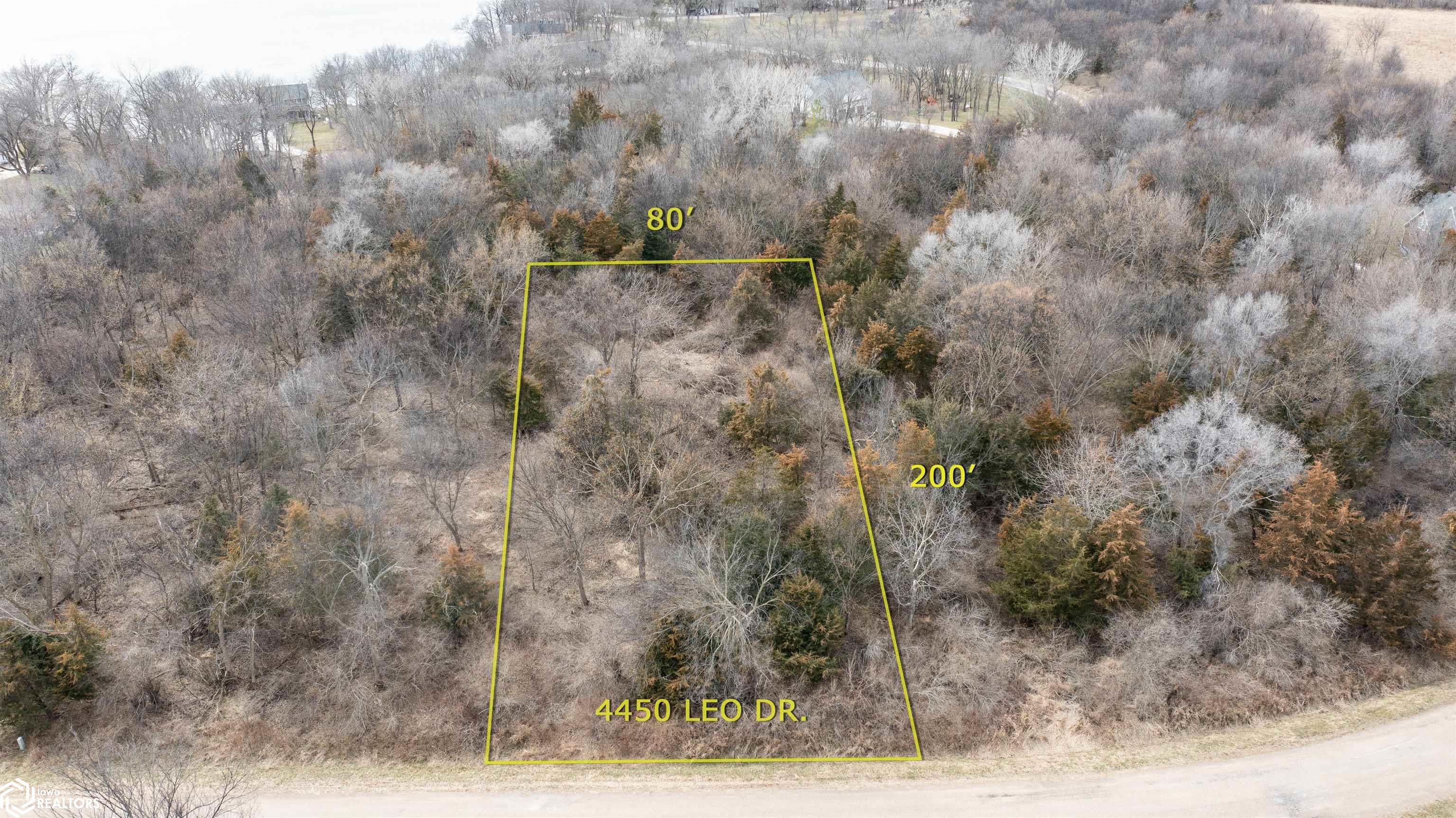Image 4 Image 4