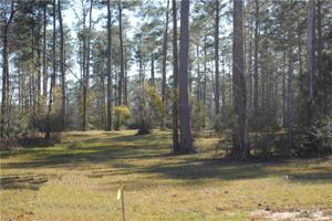 433 CAMPHILL Drive