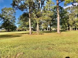 Lot 164 BACHMAN Lane