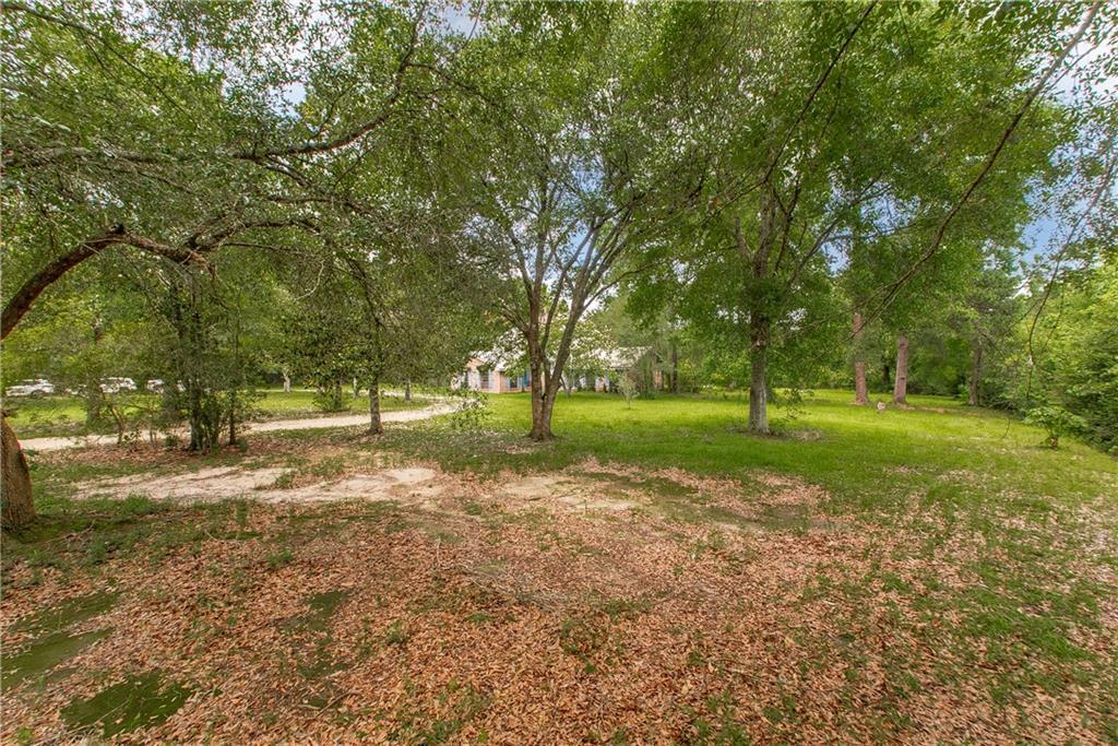 Image 2: Front Yard