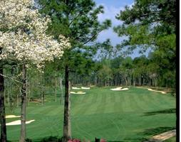 Lot 387 BALD EAGLE Drive