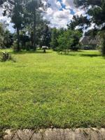 13165 LAKE BEND Drive