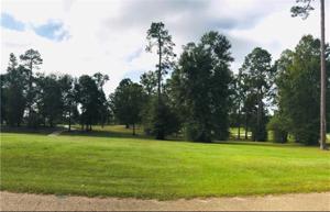 Lot 157 PLANTATION Drive