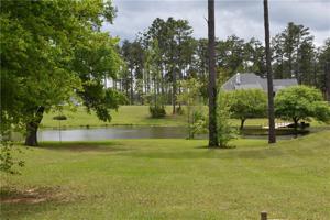 Lot 308 BALD EAGLE Drive