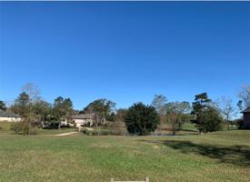 208 BALD EAGLE Drive