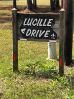13 LUCILLE Drive