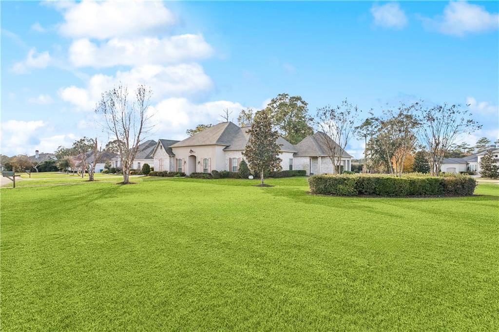 Image 3: BEAUTIFUL FRONT YARD