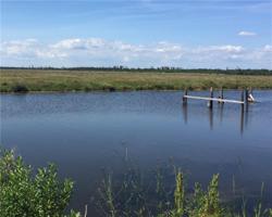 HWY 11/PONCHARTRAIN Drive