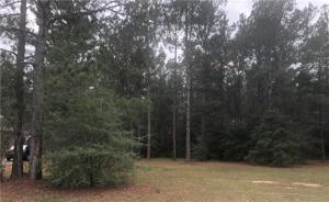 RIVERLAKE Drive